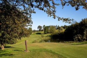 golf-gallery-05.jpg