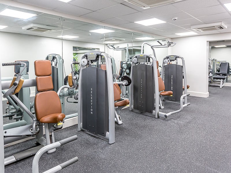 Gym 3