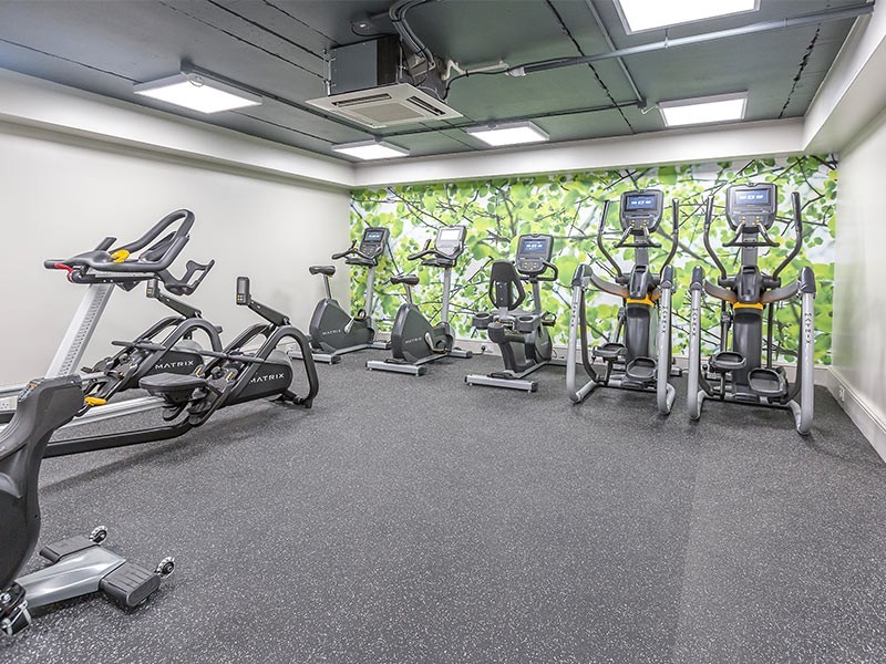 Spin Class 1
